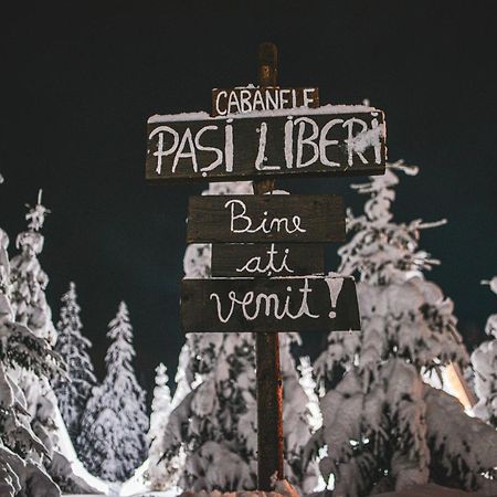Camere De Inchiriat Pasi Liberi Tău Bistra Exterior foto